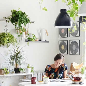 Hình ảnh nhóm sản phẩm Chia sẻ kiến thức cơ bản về trồng cây trong phòng bếp