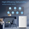 Máy hút ẩm Steiger STG – 820DW