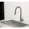 Vòi rửa bát Hafele HT24-SH1P417 TITAN 570.85.441 có dây rút